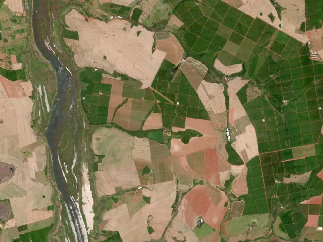 Imagem de satélite da constelação AxelGlobe mostrando áreas de agricultura de precisão nas margens do Rio Paraná. Captura multiespectral ideal para análise de vigor vegetativo usando banda NIR.