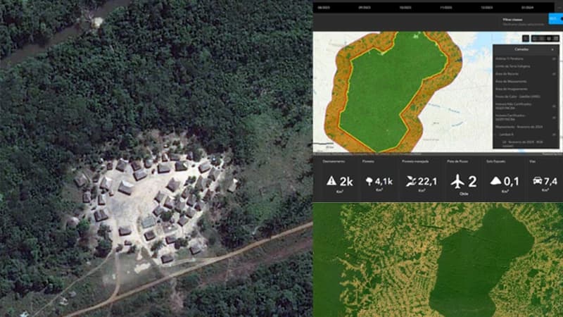 Monitoramento Geoespacial para Créditos de Carbono REDD+ — APSIS Carbon / Programa Juntos pela Floresta